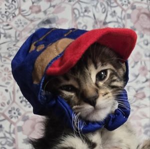 Meet your Posher, Katelyn